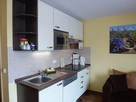 moderne Küche mit Geschirrspüler , Mikrowelle, Cerankochfeld und extra großen Kühlschrank ( kein Backherd )