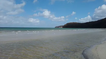 Binzer Sandstrand nur 2 Gehminuten entfernt..