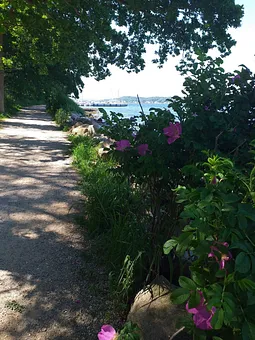 Fördewanderweg bei Mönkeberg