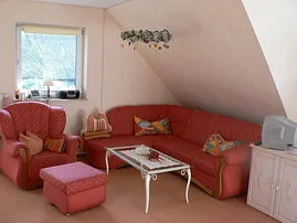 Großzügiger Wohnraum mit Schlafcouch