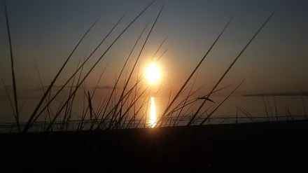 Sonnenuntergang am Bodden