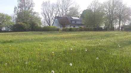 Fruehling auf dem Hof