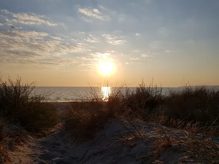Sonnenaufgang in der Schaabe 
