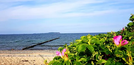 Blick nach Hiddensee