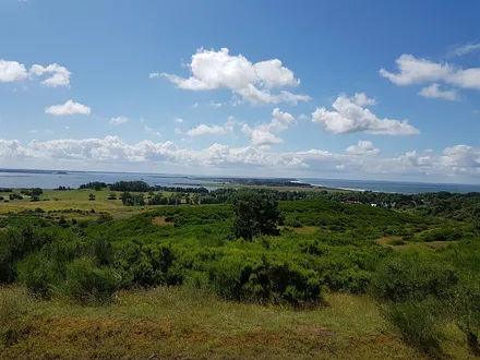 Blick über Hiddensee