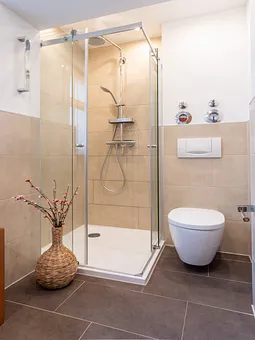 Modernes Bad mit Wellnessdusche und WC