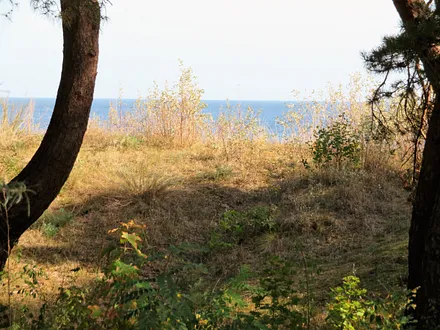 eingeschränkter Seeblick