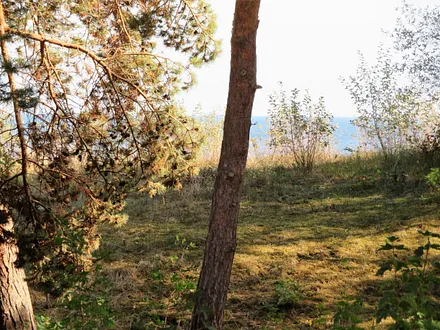 eingeschränkter Seeblick