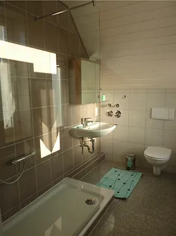 Tageslichtbad mit Walkin-Dusche