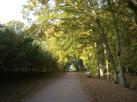 Im Küstenwald parallel zur Strandpromenade