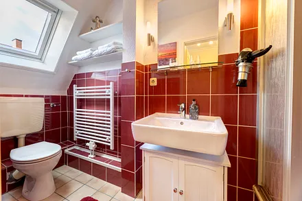 Tageslichtbad mit DU/WC und Fön