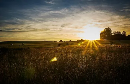Feld Alt Reddevitz, vorm Ferienhaus
