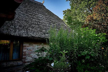 Schlafzimmerfenster nach hinten raus