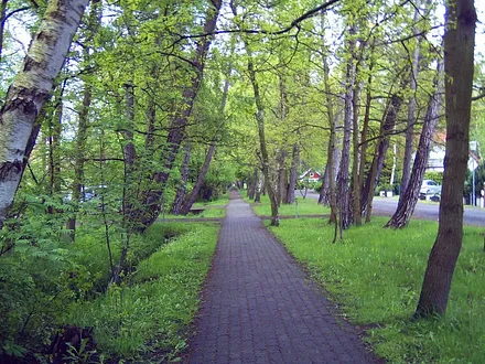 gemütliche Spazierwege und  Radwege