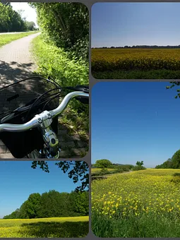 schöne Landschaft 
