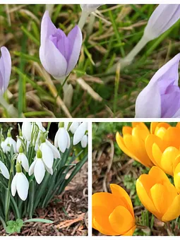 Frühling