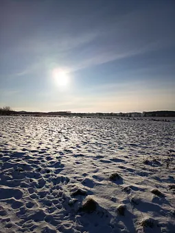 Winterlandschaft 
