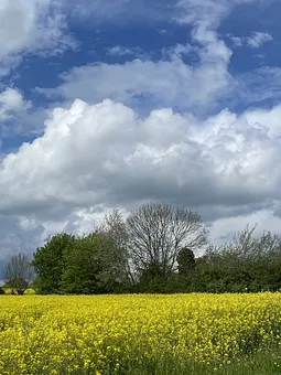 Auf dem Weg zum Strand