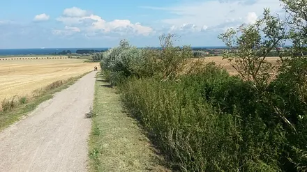 Weg zum Bastdorfer Leuchtturm