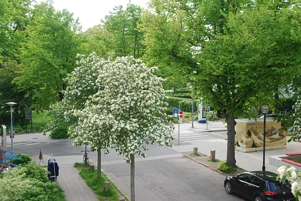 Blick auf den Kurpark