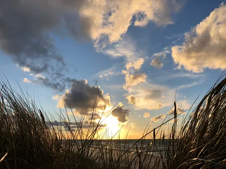 Ferienhaus Residenz zu den 3 Tannen Zingst ... der Ostsee so nah ...