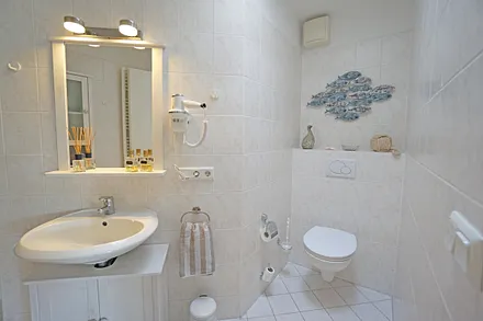 Duschbad (Dachluke zum lüften)