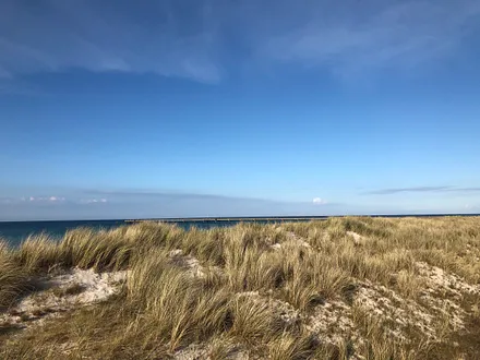 Blick über die Dünen auf die Ostsee