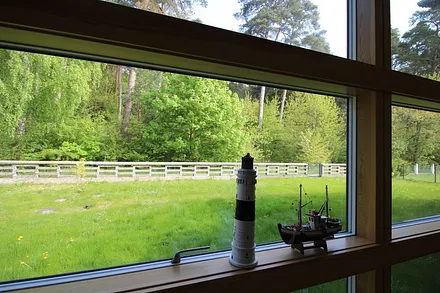 Blick vom Wohnzimmer auf die Spielwiese 