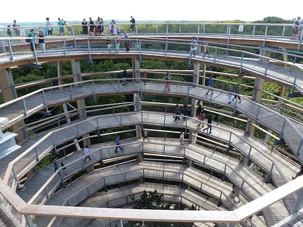 Baumwipfelpfad Naturerbezentrum