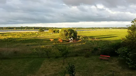 Morgenstimmung am Bodden