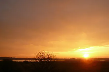Abendstimmung im Garten