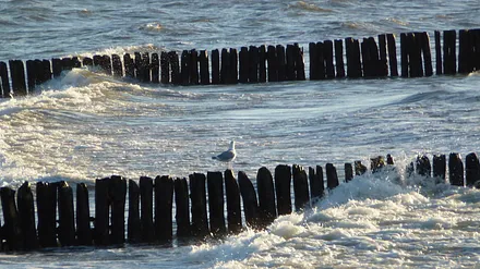 Ostsee Dranske Richtung Hiddensee