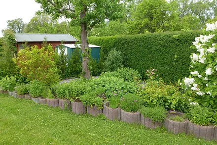 Garten mit laube und Fahrradabstellhaus