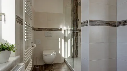 Tageslichtbad mit Regendusche