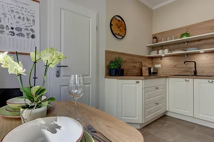 Küche mit Induktionsfeld, Spülmaschine und Gefrierfach