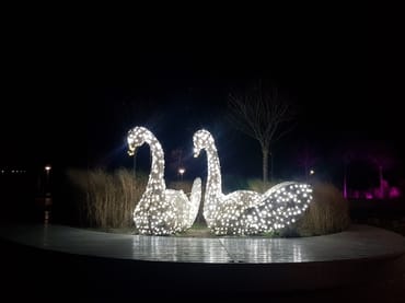 Entdecken Sie über Weihnachten und Silvester viele besondere Lichtinstallationen in allen Seebädern. Inselglitzern auf Usedom.