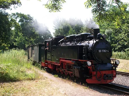 Sie können auch mit dem Rasenden Roland anreisen...
