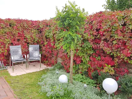 Schön angelegter Garten