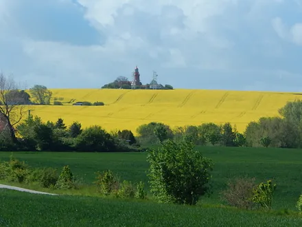 Blick auf den Leuchtturm Bastorf mit Rapsblüte