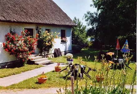 Unsere Terrasse ist grün. Sie haben den ganzen Tag die Sonne.