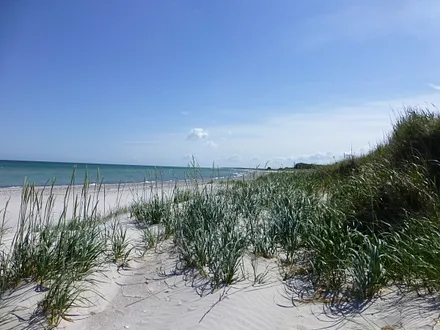 endloser Sandstrand und viel Mee(h)r