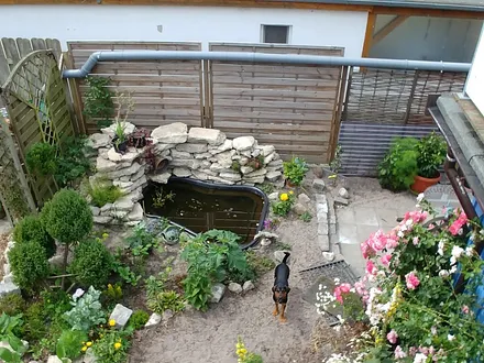 Auch unser kleiner Hund begrüßt Sie herzlich.