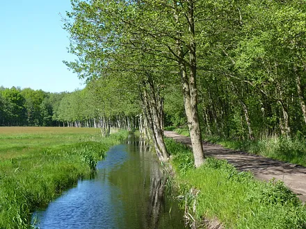 Wanderung durch unsere Umgebung