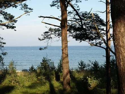 Ihr Blick auf die Ostsee, in unmittelbarer Nähe Ihrer Ferienwohnung