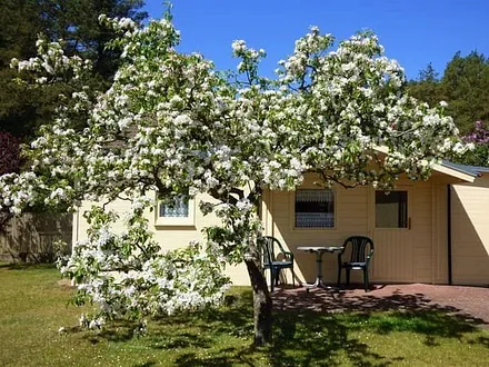 Außenansicht mit blühenden Apfelbaum 
