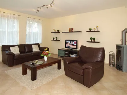 Wohnzimmer mit Kamin, der Zweisitzer ist mit Schlaffunktion für 2 weitere Personen