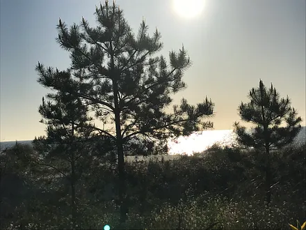 Morgensonne an der Prommenade