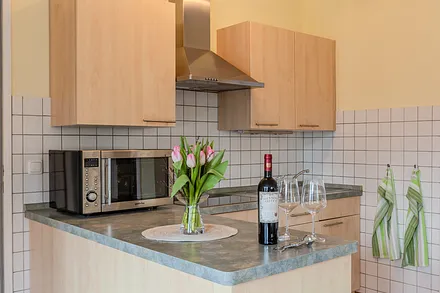 voll ausgestattete Küche mit Mikrowelle, Induktionsherd und Geschirrspüler