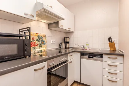 ...mit Geschirrspüler, Backofen, Mikrowelle, Ceranfeld, Kühlschrank mit Gefrierfach etc.