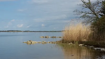Achterwasser - Halbinsel Gnitz / Insel Usedom